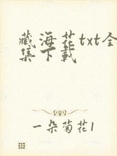 藏海花txt全集下载