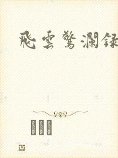 飞云惊澜录
