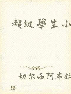 超级学生小说