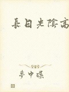 长日光阴高h