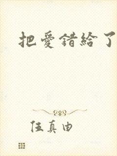 把爱错给了你