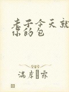 老子今天就要开你的包