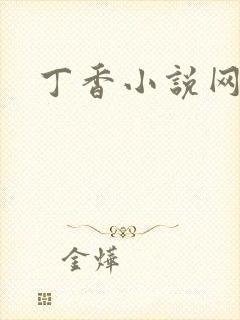 丁香小说网