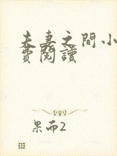 夫妻之间小说免费阅读