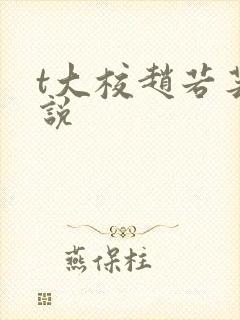 t大校赵若芸小说