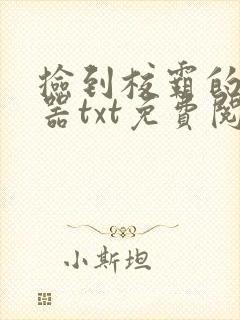 捡到校霸的遥控器txt免费阅读by阳阳