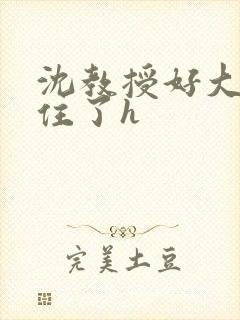 沈教授好大含不住了h