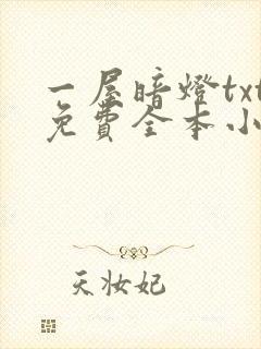 一屋暗灯txt免费全本小说电子书