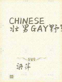 CHINESE壮男GAY野战强迫TUBE