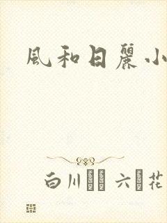 风和日丽小说