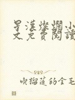 星汉灿烂小说全文免费阅读