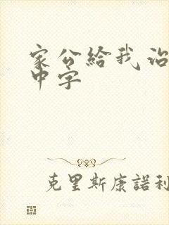 家公给我治疗5中字