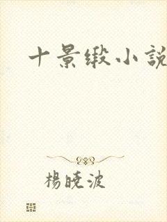 十景缎小说