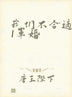 我们不合适1v1军婚