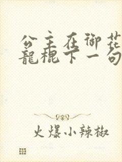 公主在御花园吃龙棍下一句