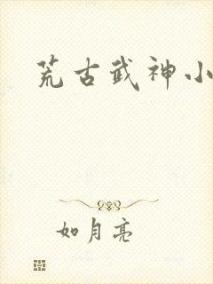 荒古武神小说