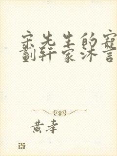 宋先生的宠妻计划轩家沐言