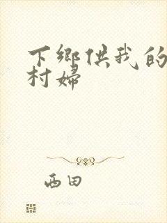 下乡供我的发泄村妇