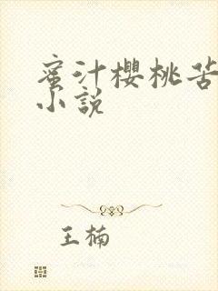 蜜汁樱桃苦咖啡小说