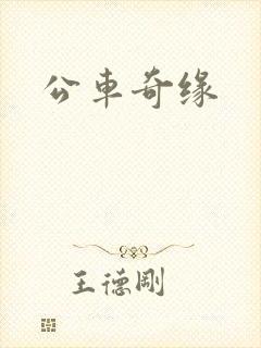公车奇缘