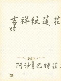 吉祥纹莲花楼txt