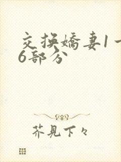 交换娇妻1一36部分