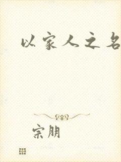 以家人之名小说