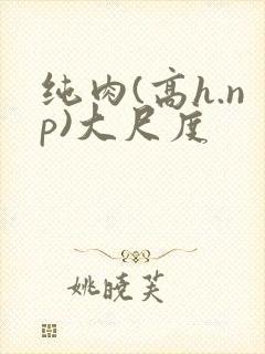 纯肉(高h.np)大尺度