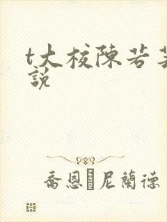 t大校陈若芸小说