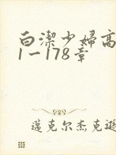 白洁少妇高义第1一178章