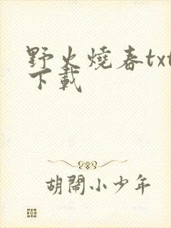 野火烧春txt下载