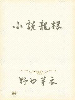 小说龙根