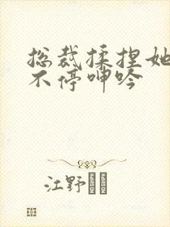 总裁揉捏她两乳不停呻吟