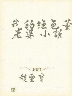 我的绝色董事长老婆 小说