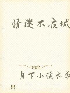 情迷不夜城