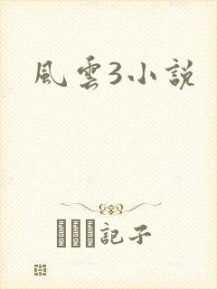 风云3小说