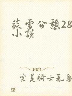 苏雪公憩28篇小说