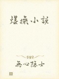 爆操小说