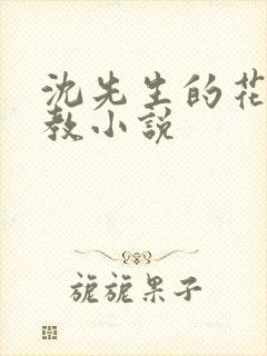 沈先生的花式调教小说