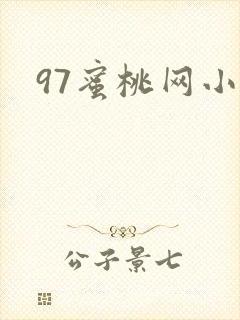 97蜜桃网小说