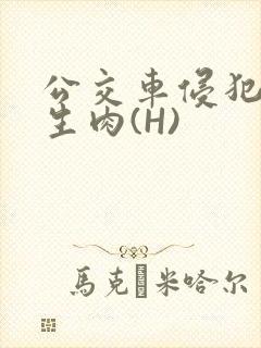 公交车侵犯小男生肉(H)