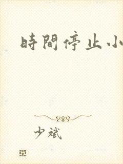 时间停止小说