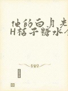 他的白月光HVH桔子糖水全文