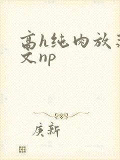 高h纯肉放荡h文np
