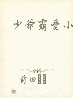 少爷霸爱小丫头