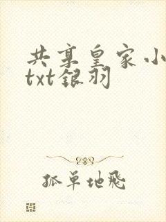 共享皇家小公主txt银羽