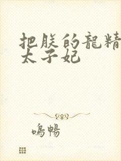 把朕的龙精含h太子妃