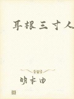 耳根三寸人间