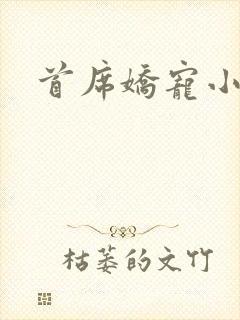 首席娇宠小情人