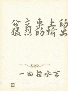 公交车上的诗请猛烈的输出阅读